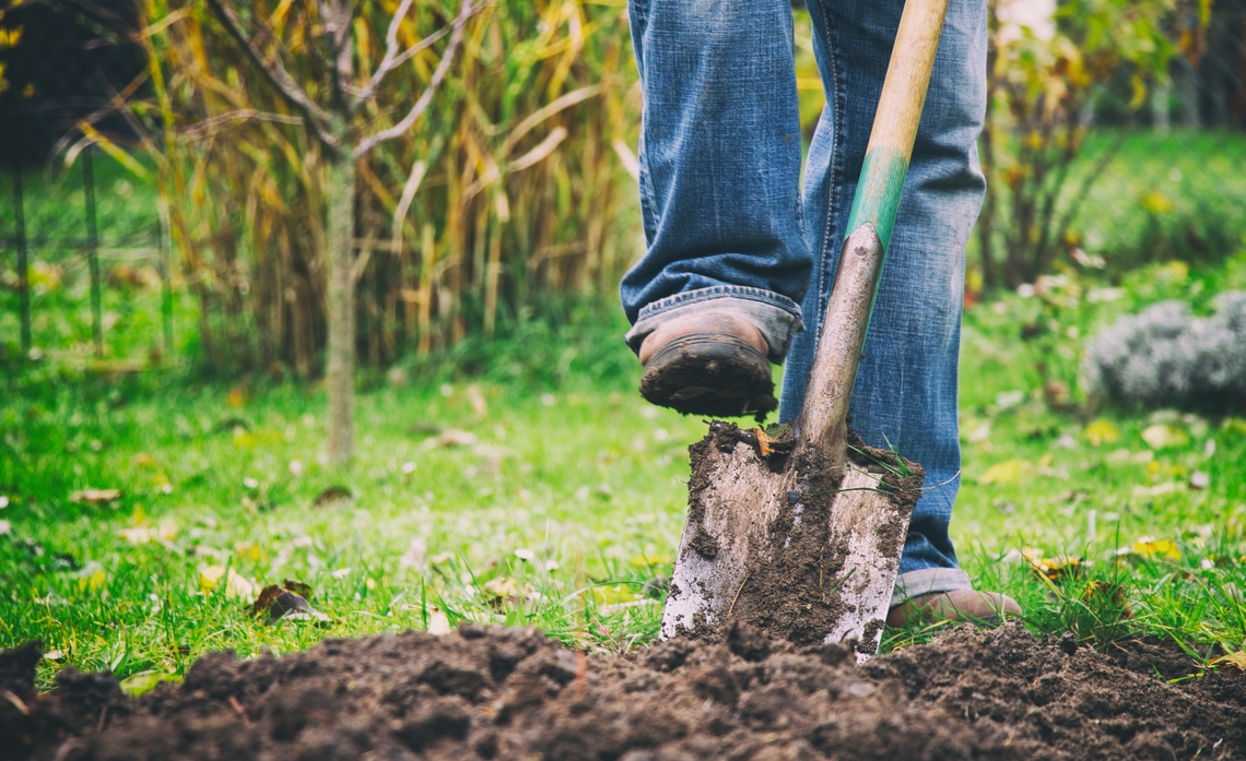 The Hole Truth? Always Call 811 Before Digging Energized by Edison